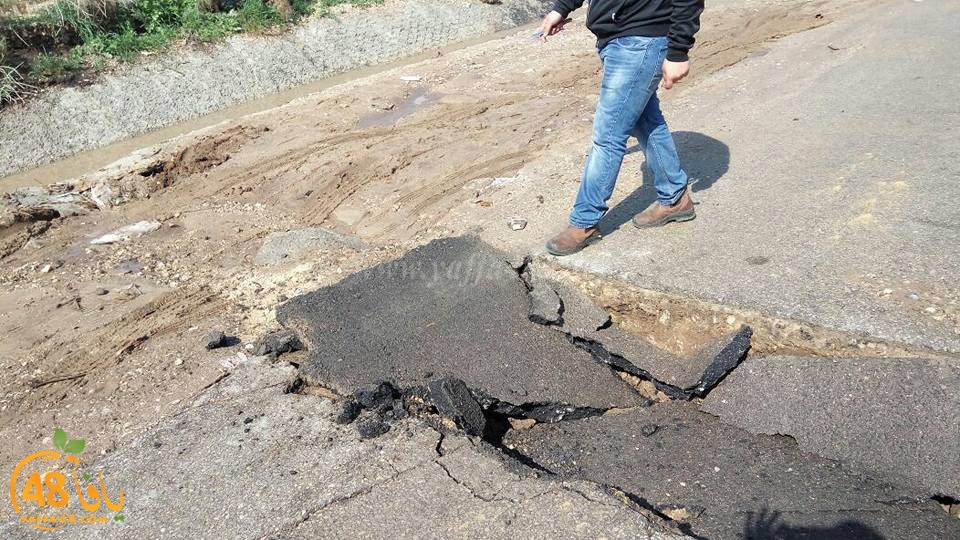 lud shaware3 (1).jpg